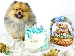 fb_img_1492438827605