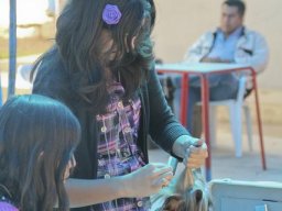 Exposiciones Caninas